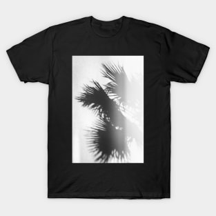 Palm Leaves on White Wall T-Shirt